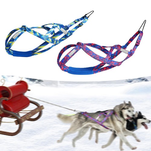 Harnais husky pour chiens - pour, de