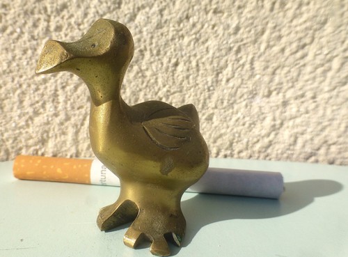 Réunion oiseau dodo dronte - oiseau,