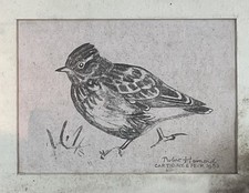 Robert Hainard 1906-1999 Rare gravure oiseau Artiste Suisse 1953, Cartigny