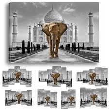 TABLEAU ELEPHANT TAJ MAHAL FELIN - IMPRESSION IMAGE 58 MODELES IMPRIMEE 