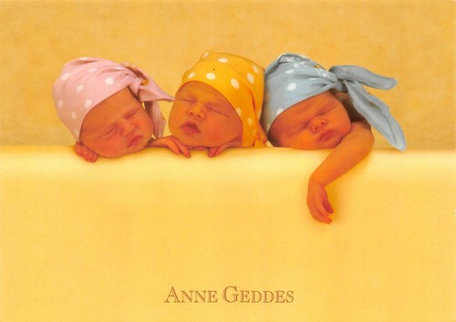 Carte postale anne geddes - -,