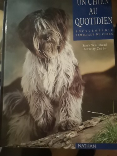 Chien quotidien - un,