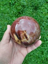 Bois Fossile Forme Sphère