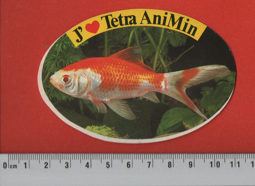 Tetra animin - ❤,