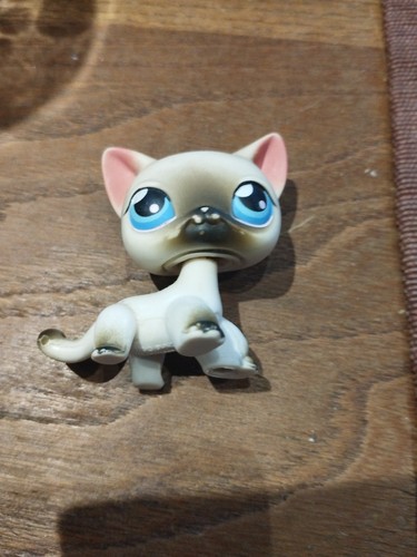 Petshop chat siamois - petshop,