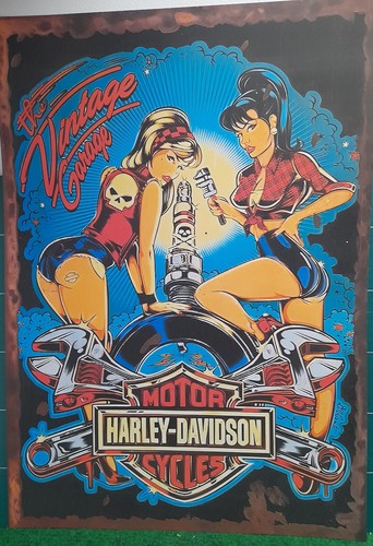 Harley davidson pin - pin-up,