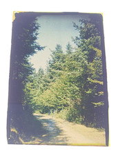 n°12 une Autochrome filmcolor