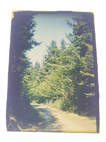 Une autochrome filmcolor - n°12,