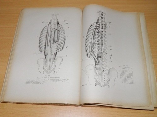 Latarjet manuel anatomie - manuel,