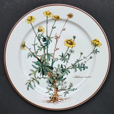 Sublime assiette plate signée - sublime,