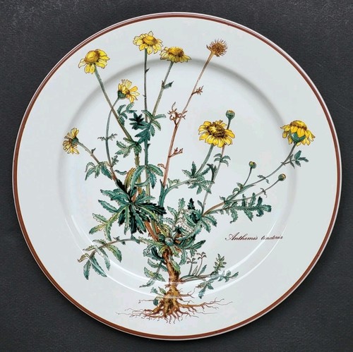 Sublime assiette plate - assiette,