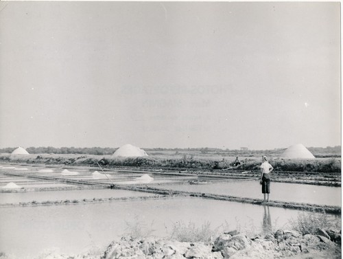Molf 1960 marais - le, c.