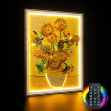 Kit LED télécommandé pour
