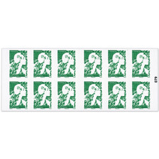 lot de 20 carnet Marianne de