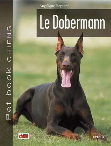 Doberman angélique heynard - doberman,,