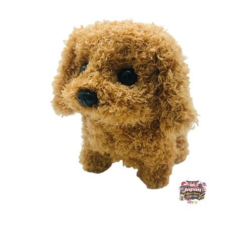 Nouveau caniche tksk tokotoko - nouveau,
