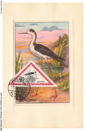 AUXP1-0005-OISEAUX-CARTE-MAXIM