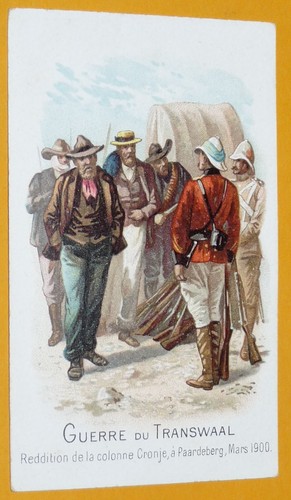 Chromo 1901 1914 chicoree - 1901-1914,