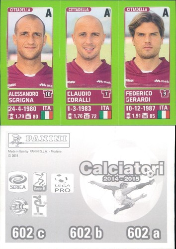 Figurine footballeurs panini - figurine,