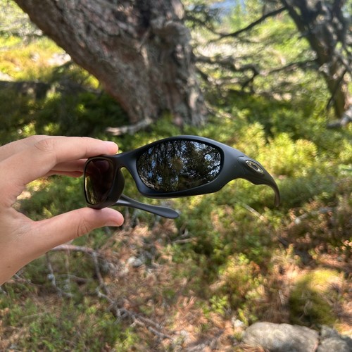 Oakley monster dog - , –