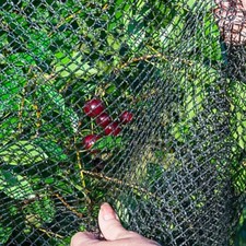 Filet ?? oiseaux filet antiparasitaire commercial arbres fruitiers protection de