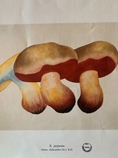 Affiche Illustration