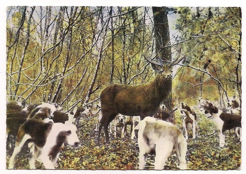 Scène chasse a - scène,