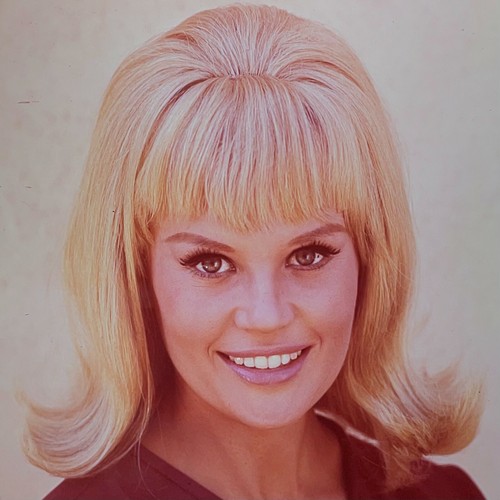 Pamela austin late 1960s - late,