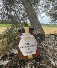 Miel d’Eucalyptus Pur 100 %