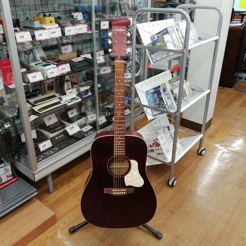 Guitare acoustique électrique