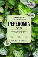 Maxwell Steinbeck A mini-guide