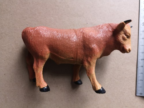 Grande vache taureau boeuf - taureau,
