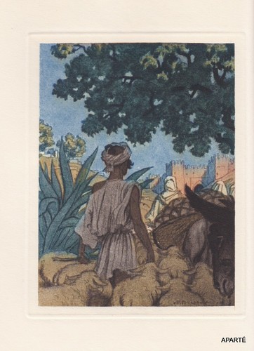 Tharaud fez les bourgeois - tharaud,