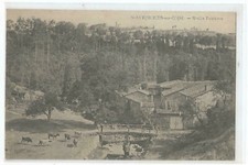 69 SAINT SYMPHORIEN SUR COISE , MOULIN FULCHIRON