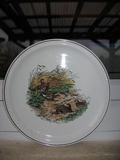 ASSIETTE DE COLLECTION OISEAUX VILLEROY&BOCH 23,5 cm
