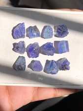 Naturel bicolore tanzanite - naturel,