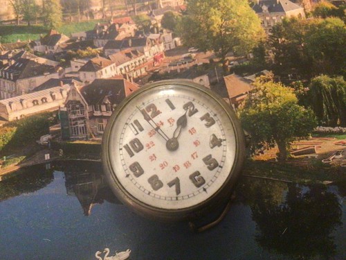 Montre militaire poilu en - de,