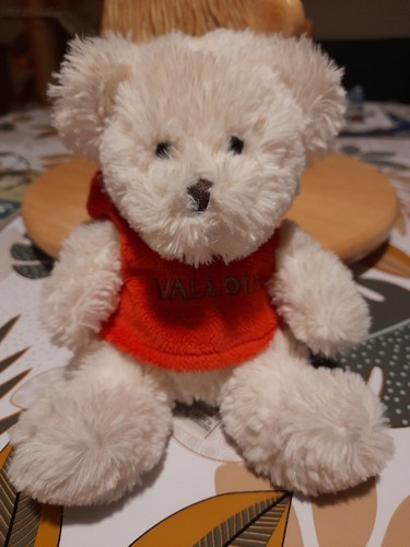 Doudou peluche ourson - peluche, blanc