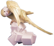 Superbe Augarten Wien Porcelaine Perruche Figurine Porzellan Figur Vienna