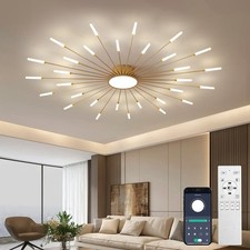 30-Light Fireworks Ceiling