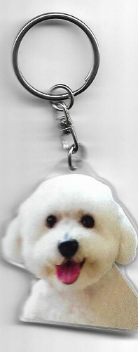 Bichon chien porte cles - bichon, /