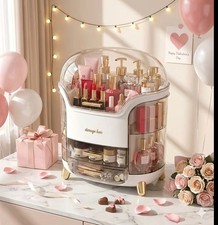 Makeup Organization 