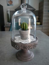 CLOCHE A PATISSERIE EN VERRE +