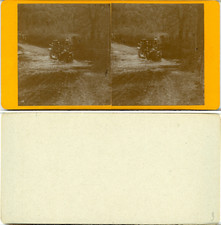 Stéréo, Suisse, traversée d'une rivière en voiture  Vintage albumen stereo 