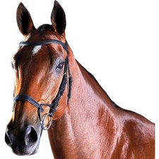 Collegiate - Bridon en cuir