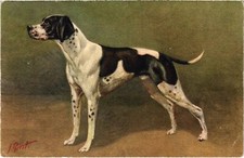 CPA AK Pointer DOGS (1388363)