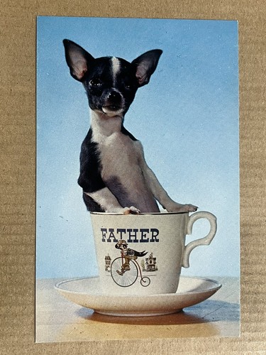 Postcard chihuahua dog cute - postcard,