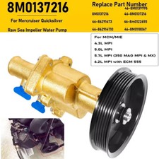 8M0139995 Raw Sea Water Pump