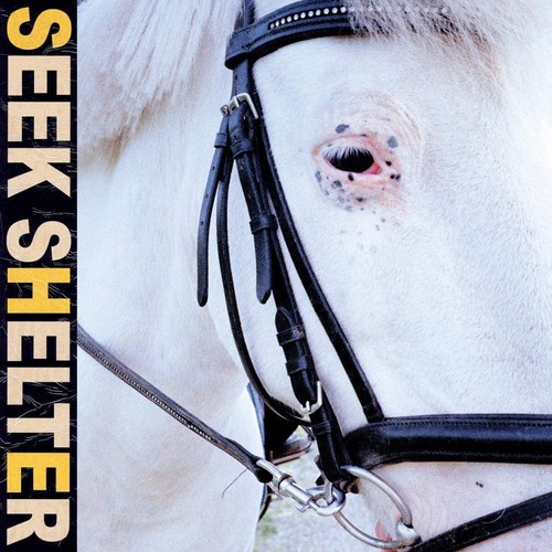 Iceage seek shelter - iceage,