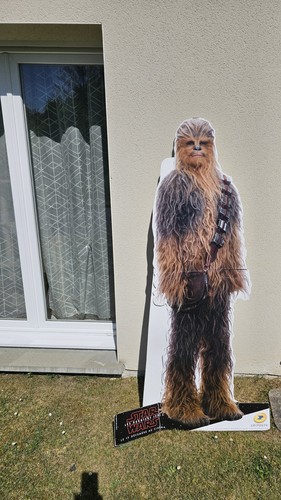 Chewbacca taille réelle - taille,